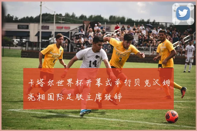 卡塔尔世界杯开幕式举行贝克汉姆亮相国际足联主席致辞